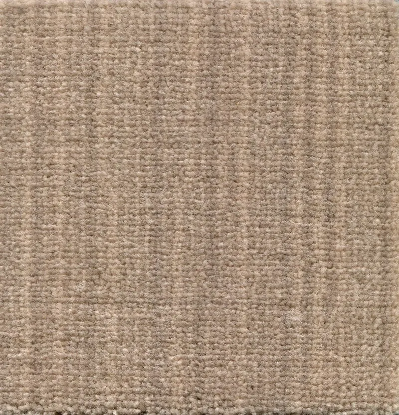 Art Elegance Polvere