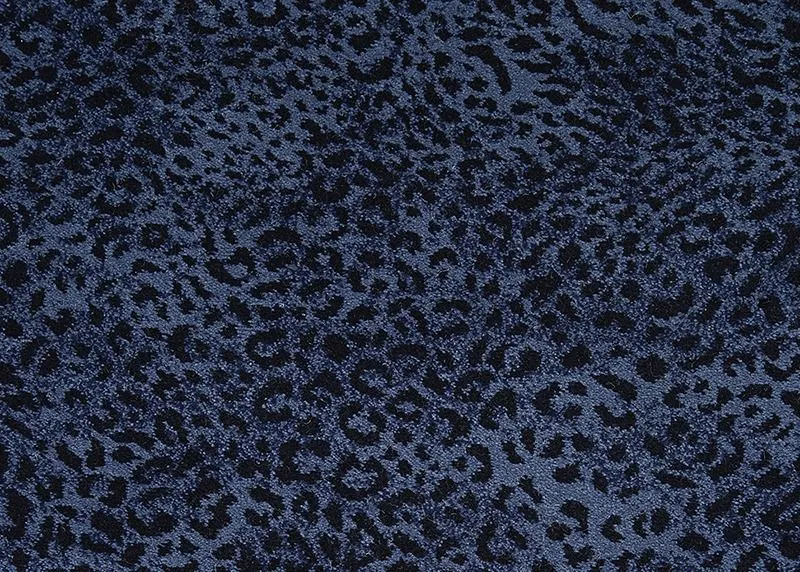 Spotted Blue