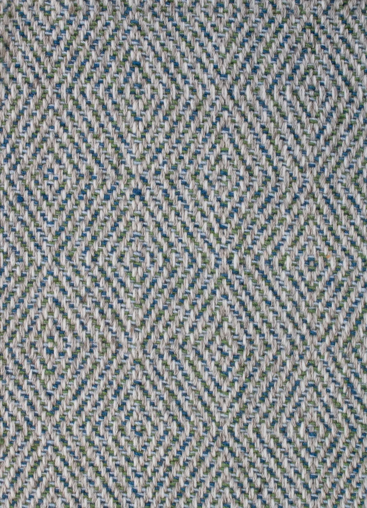 Riley Agave
