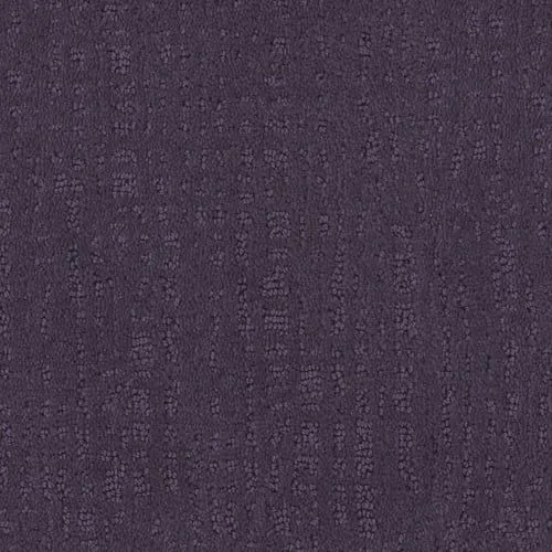 Acclaimed Couleur