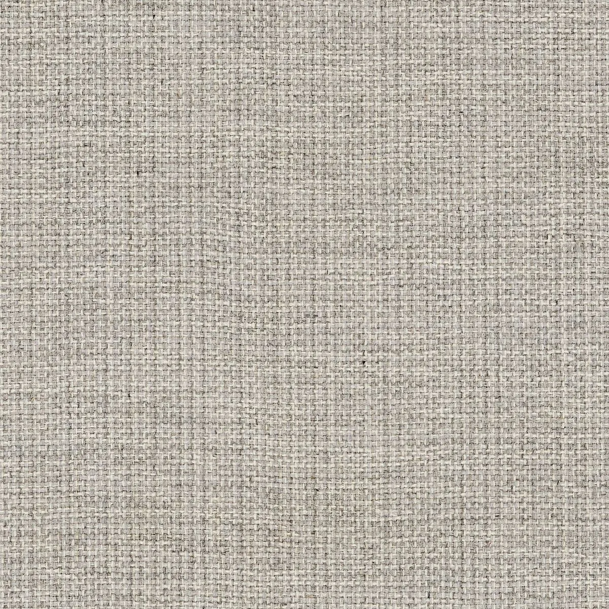 Sly Fox Grey