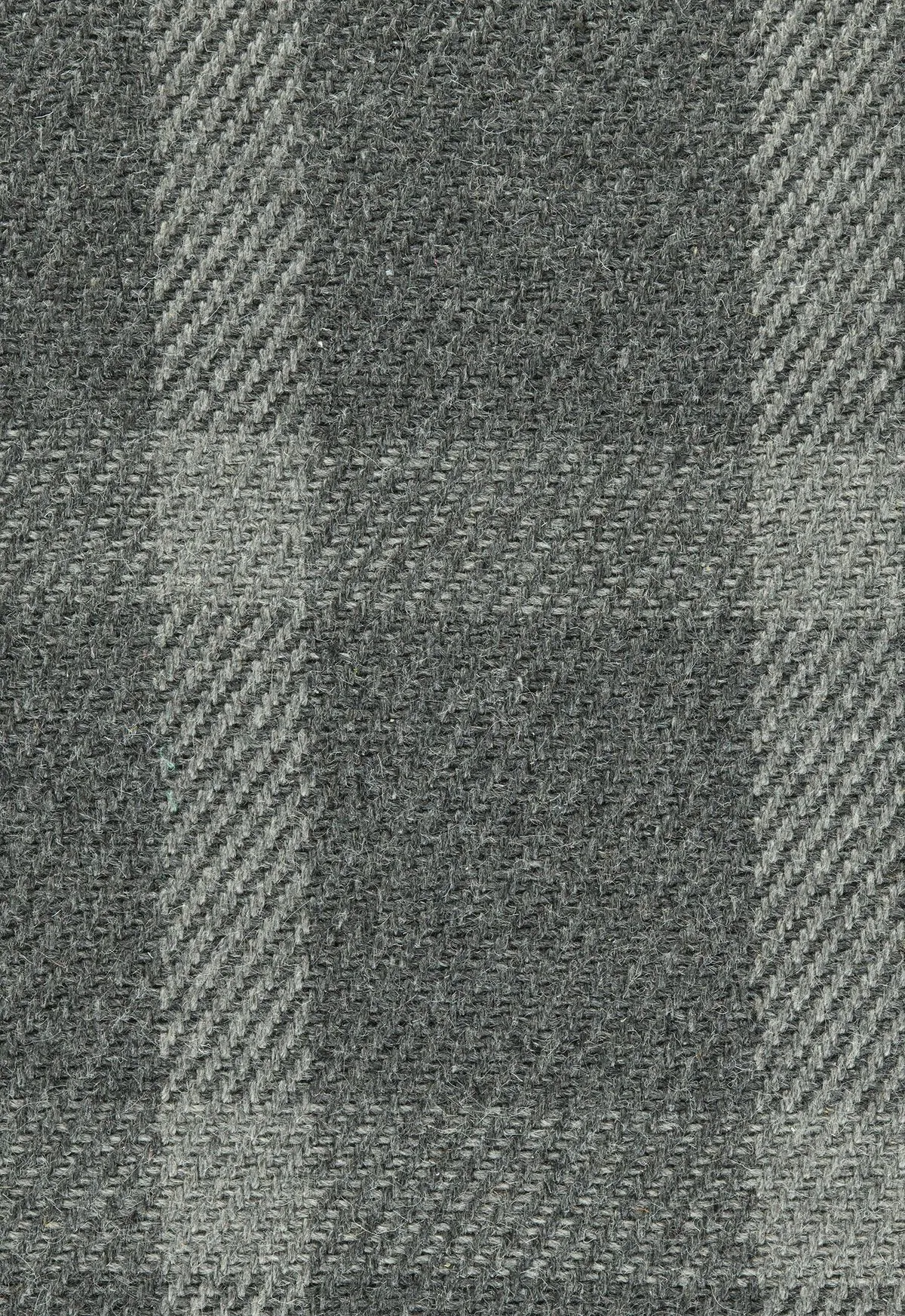 Roaming Charcoal