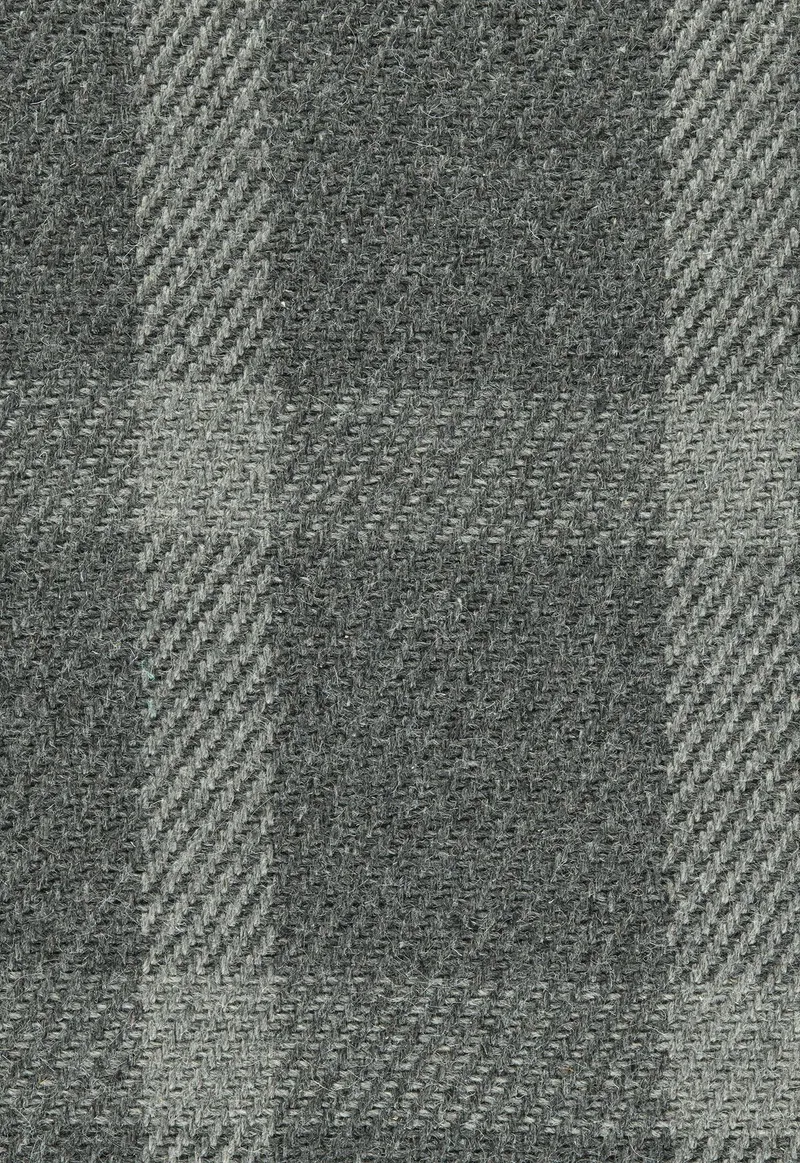 Roaming Charcoal