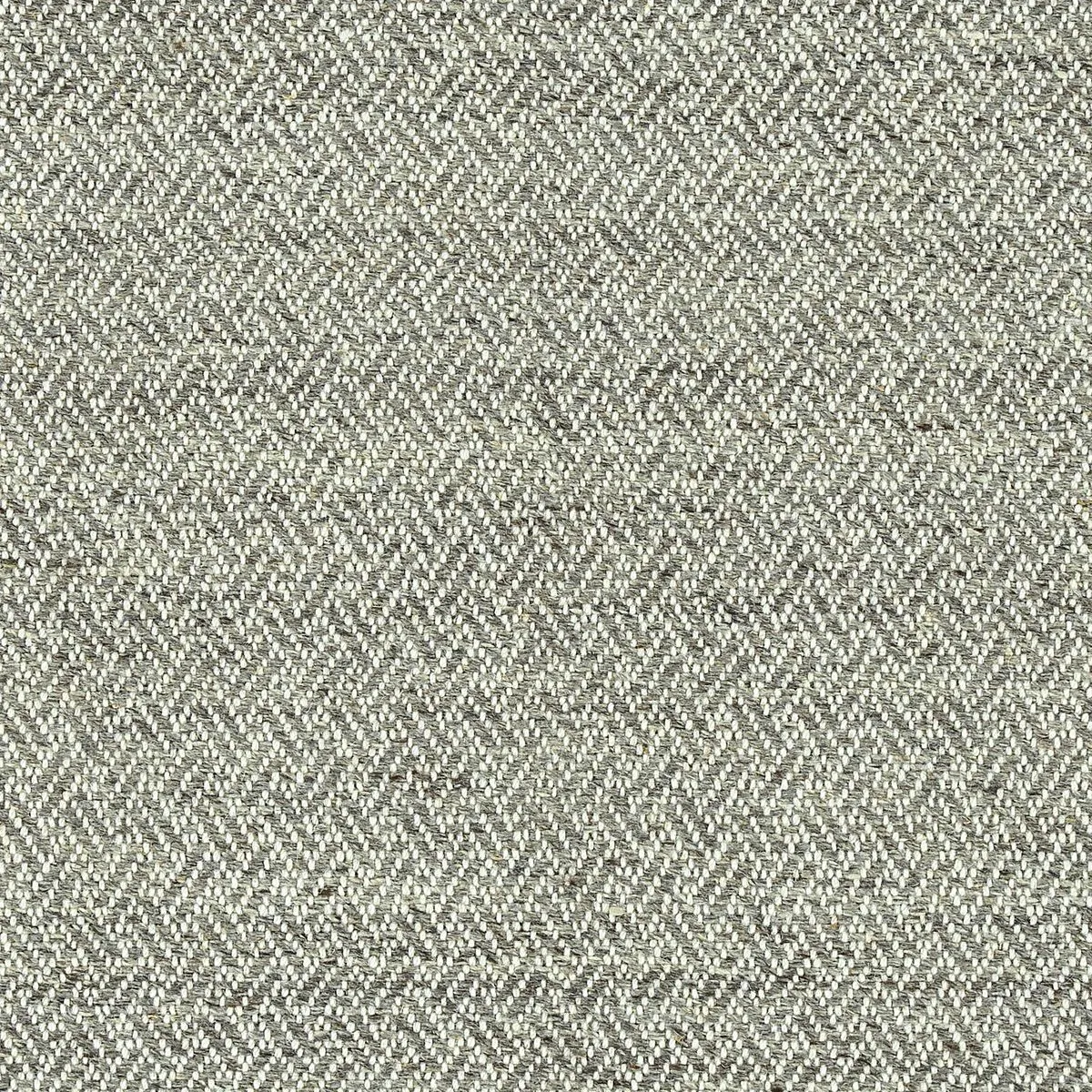 Misconjecture Beige