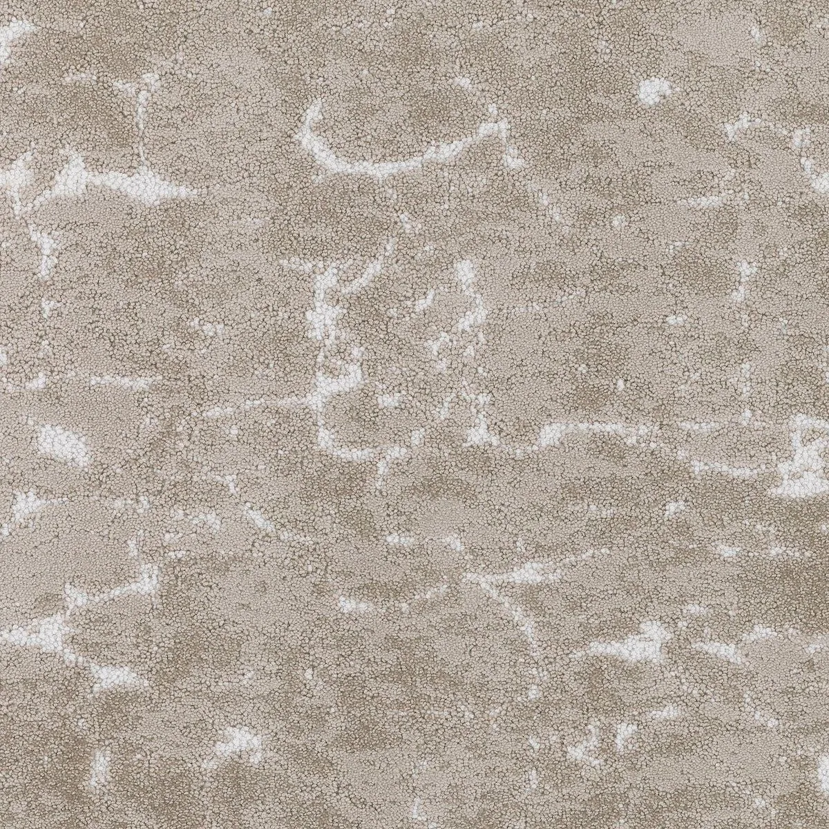 Rove Antelope