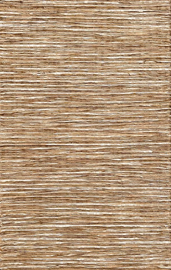 Rainforest Tree Bark