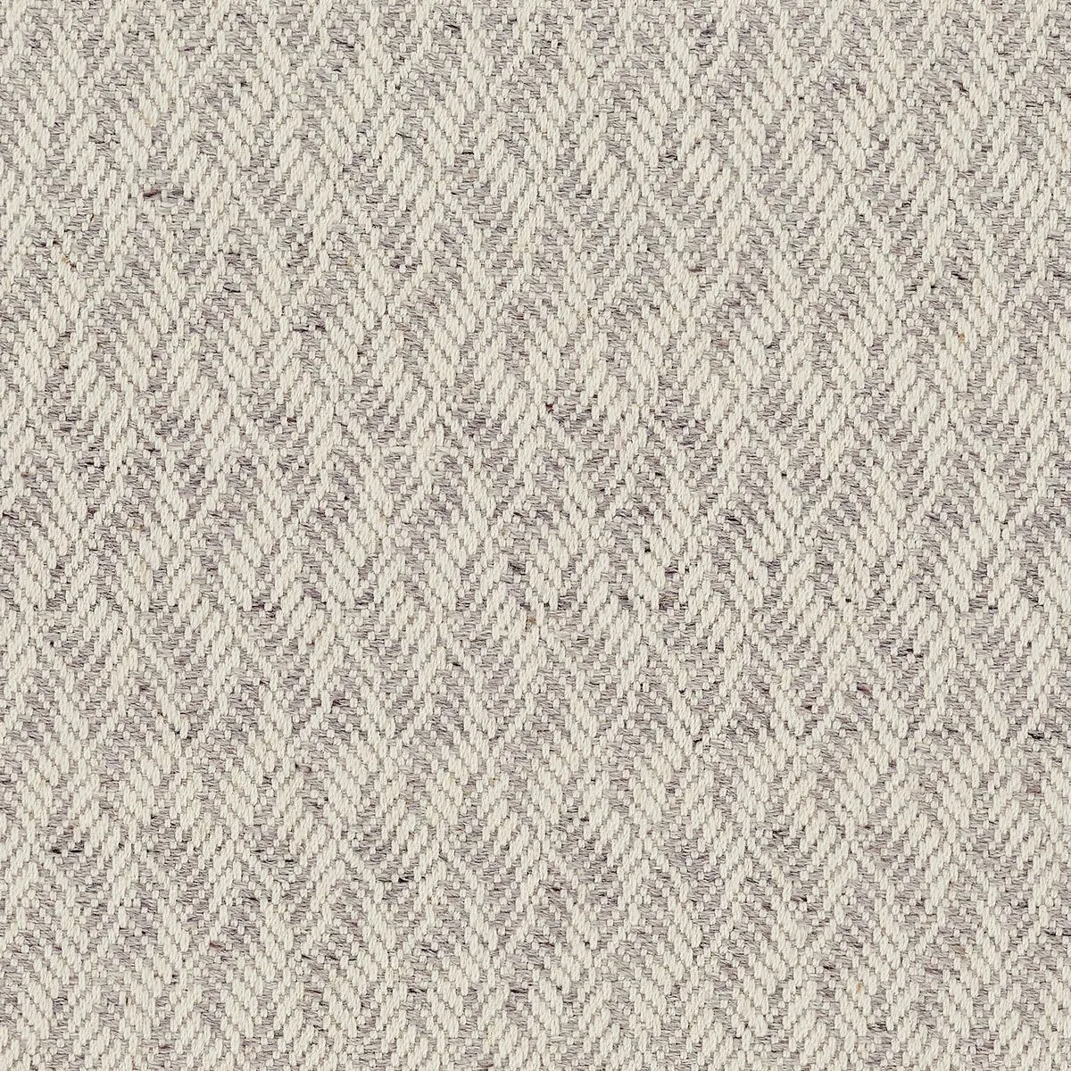 Tortuosities Lavender
