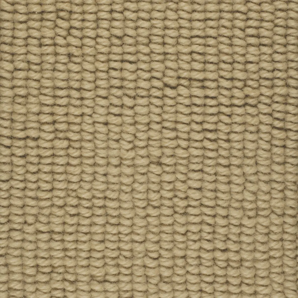 Oversea Night Powder puff