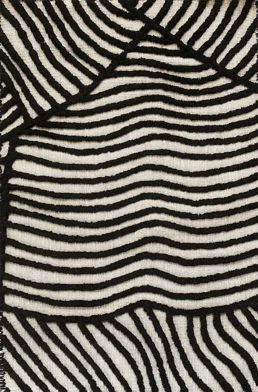 Sahara Zebra