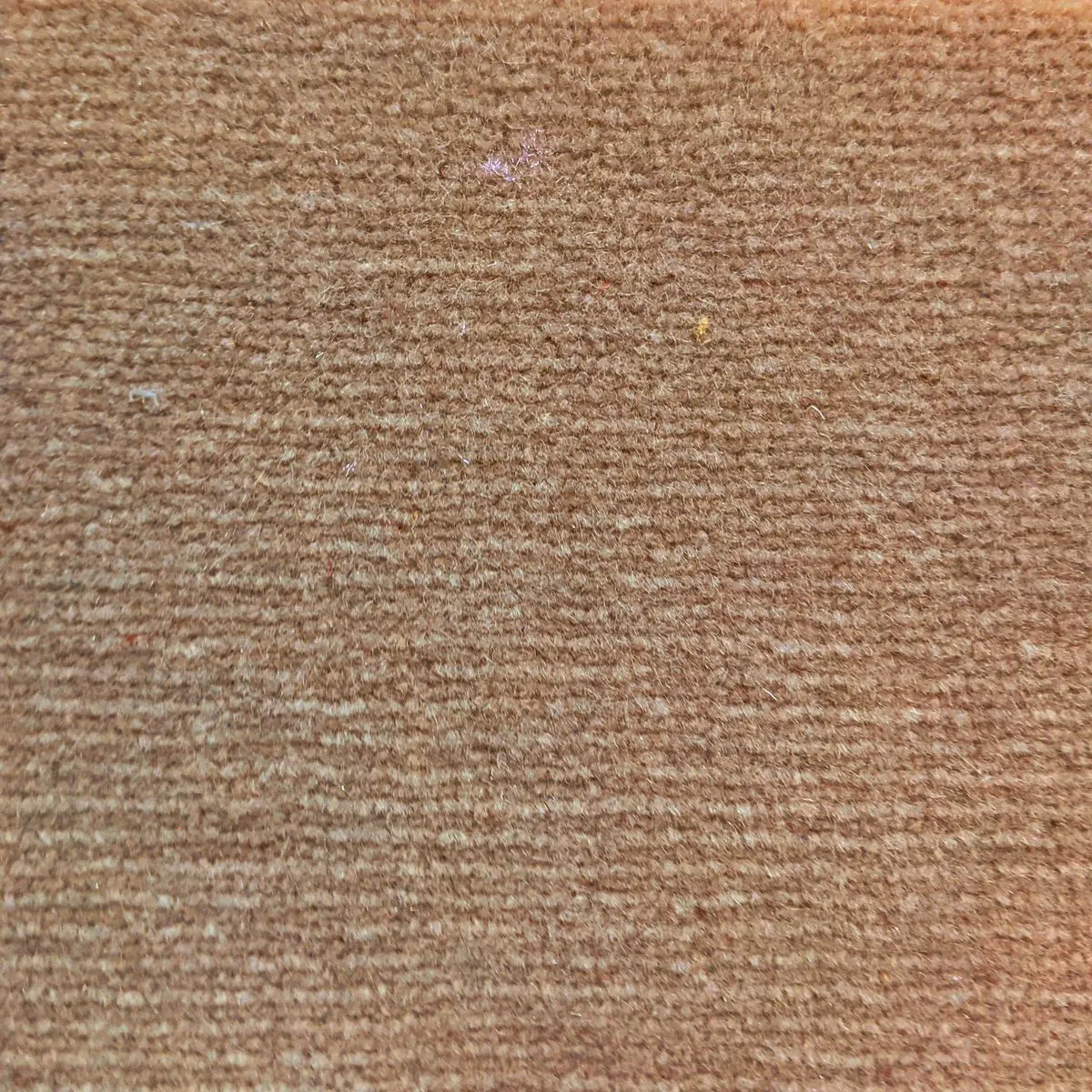 Amsterdam Beige