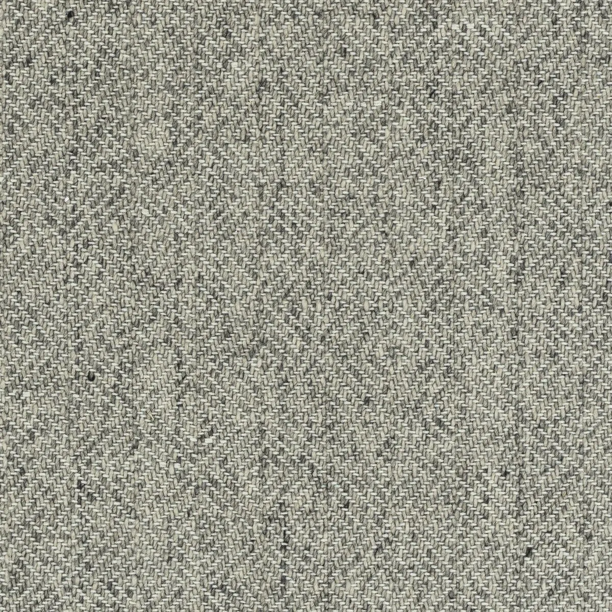 Portobello Charcoal