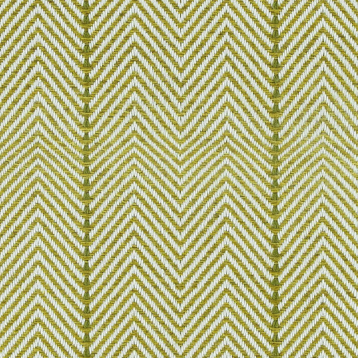 Darcy Lime