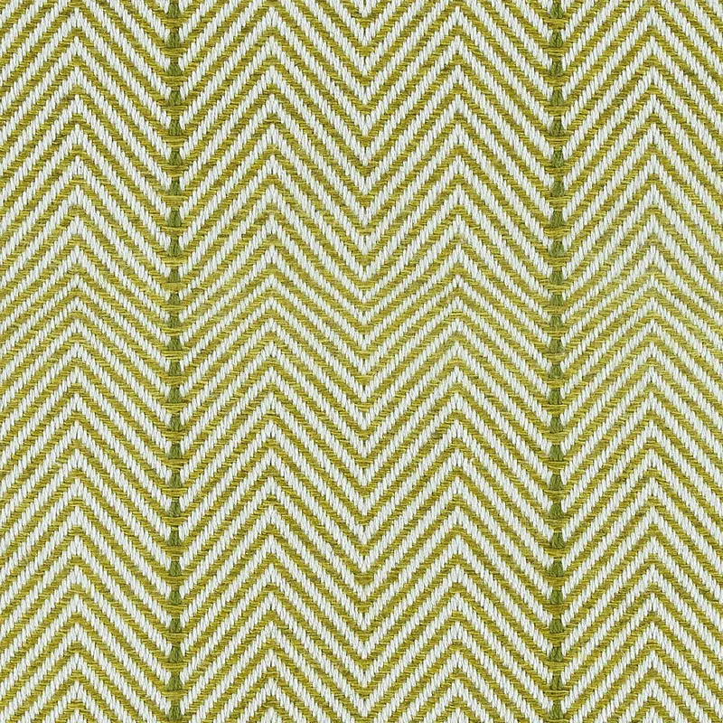 Darcy Lime