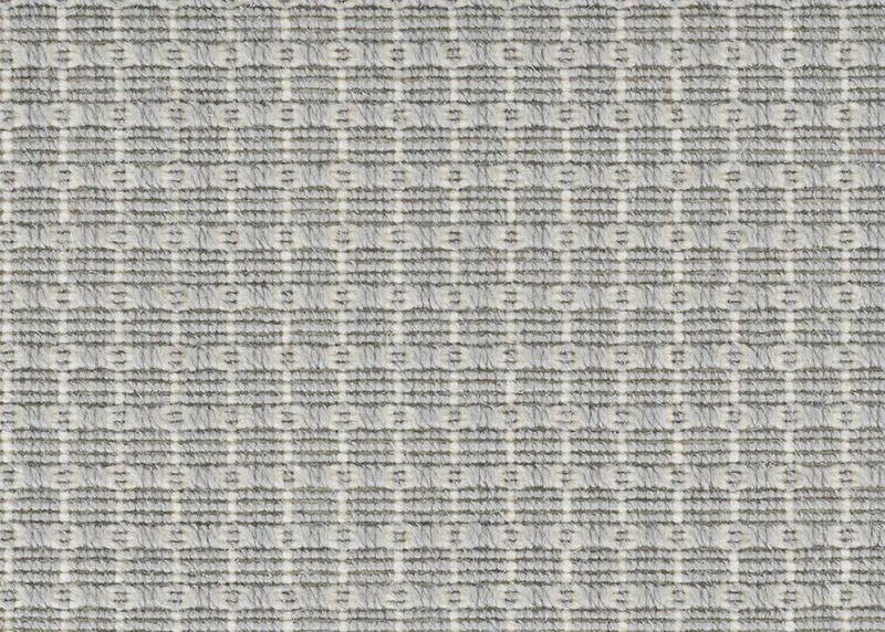 Beladona Grey
