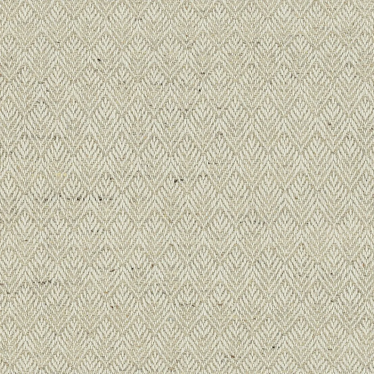 Star Light Beige