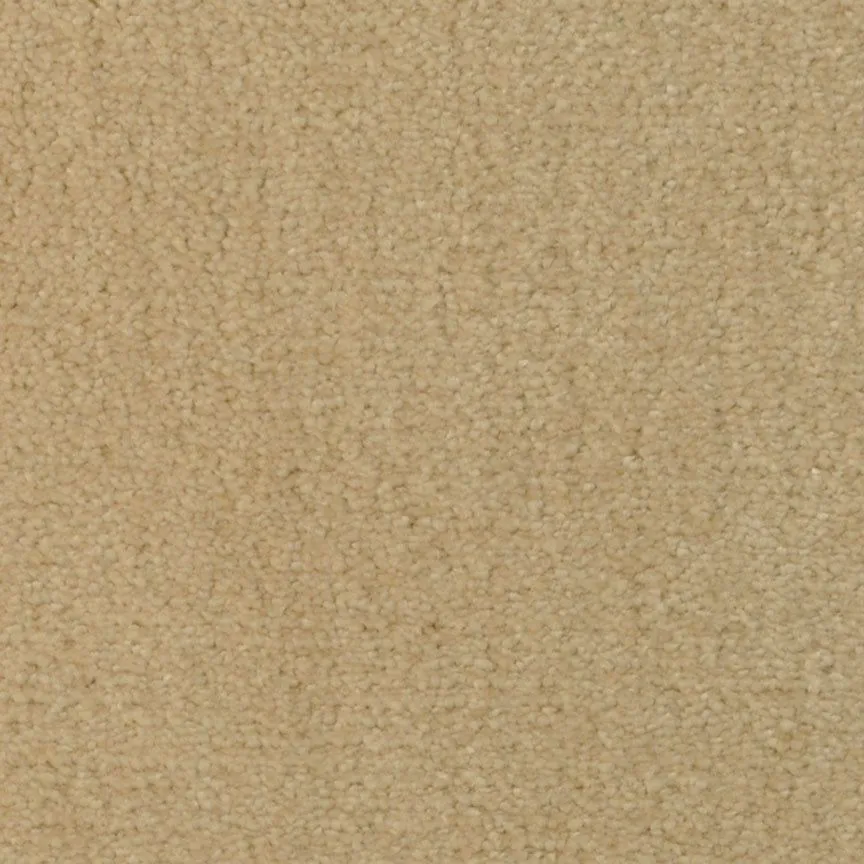 Temptation Sensational Sand