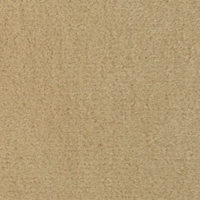 Sensational Sand