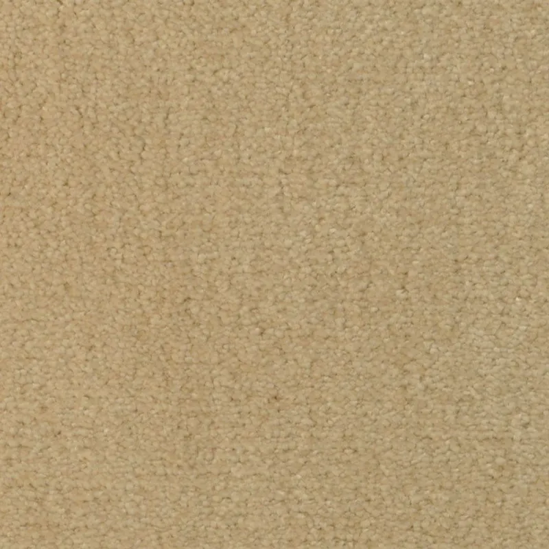 Temptation Sensational Sand