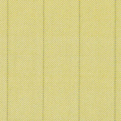 Maize