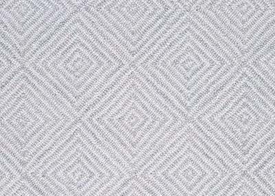 Oyster Shell