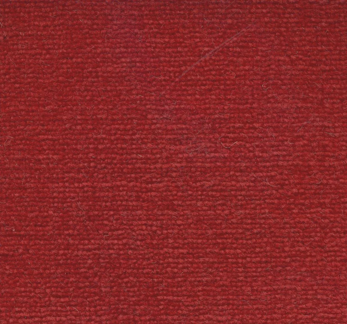 Amsterdam Rosso