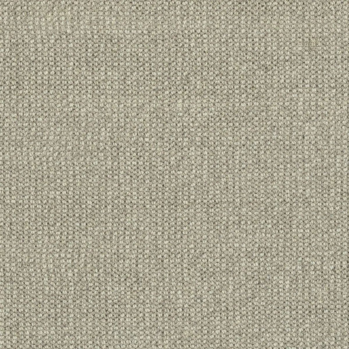 Marshfield Taupe