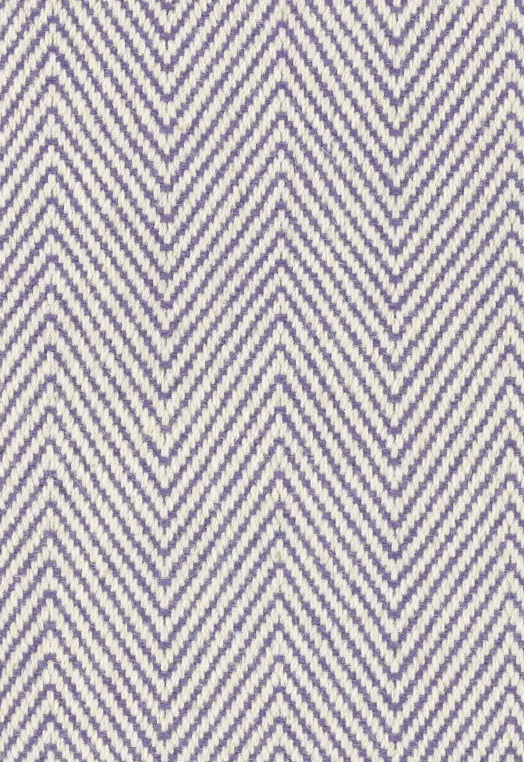 Havana Purple