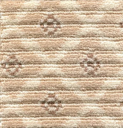 Avorio