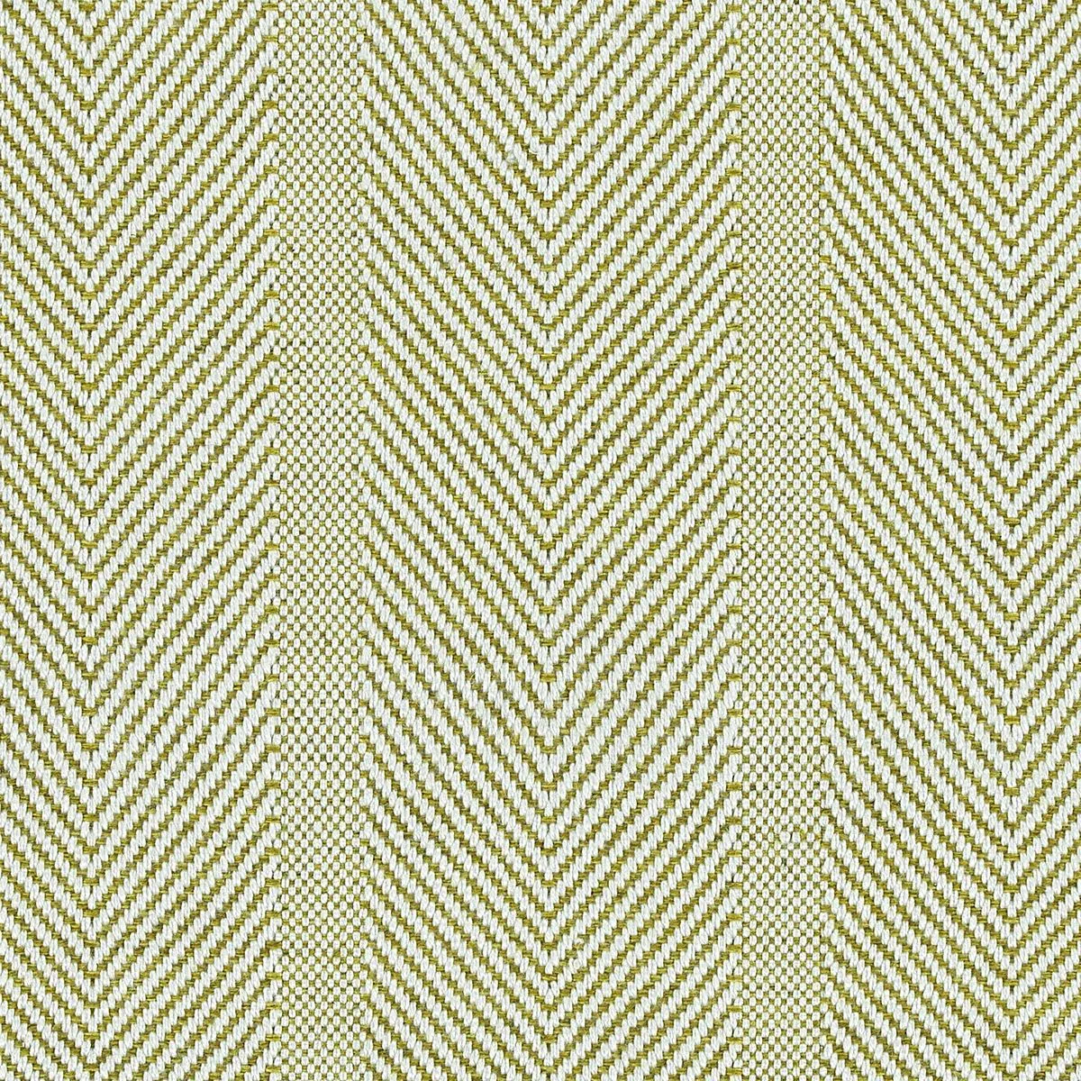Alter Ego Lime