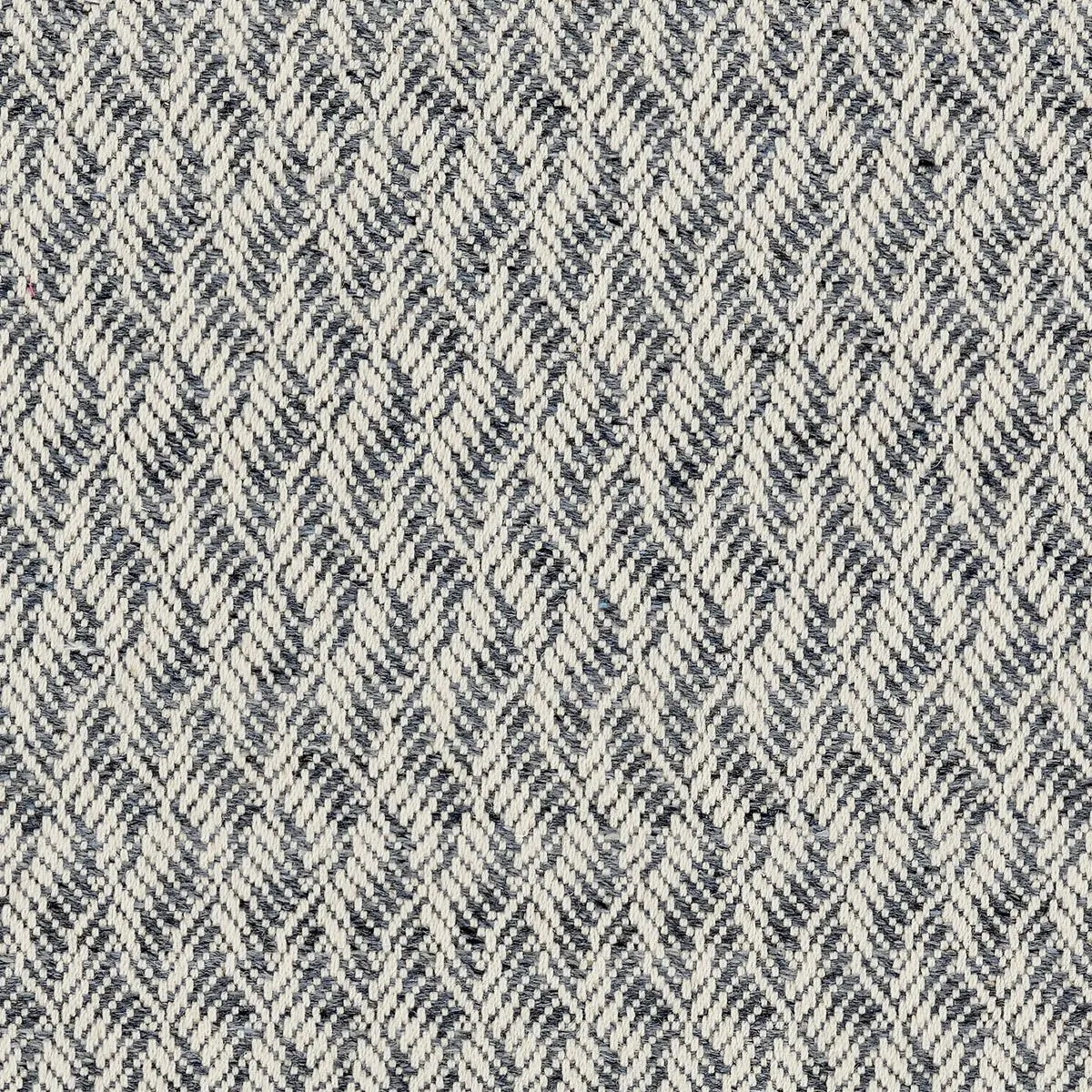 Tortuosities Navy