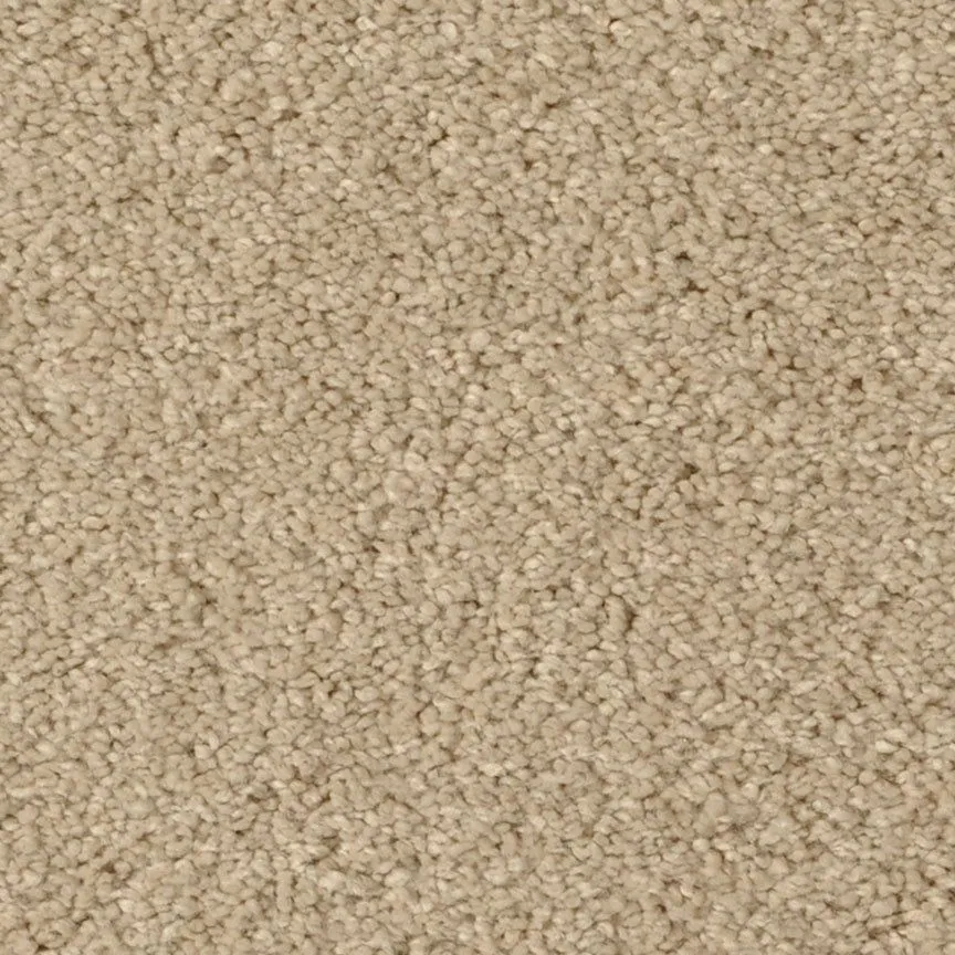 Glaze Club Sand Fossil