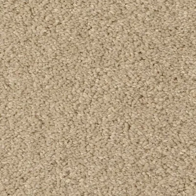 Sand Fossil