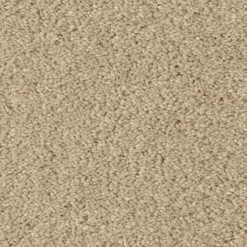 Glaze Club Sand Fossil