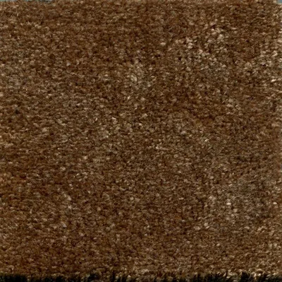 Castoro