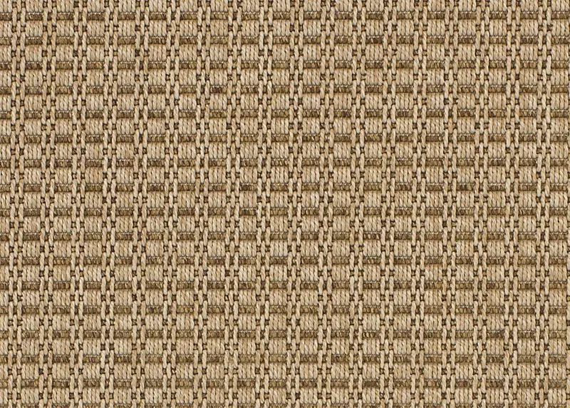 Marquis Dune