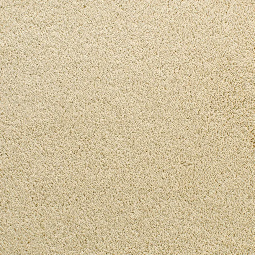 Mesour Dry Chamois