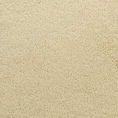 Dry Chamois