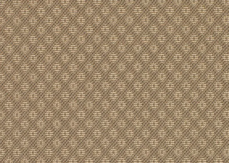 Brooksey Khaki
