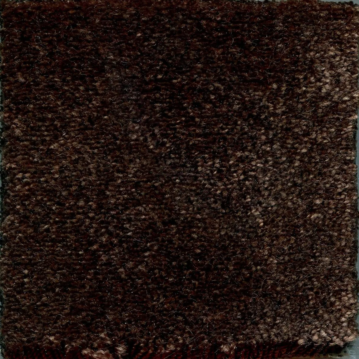 Ernest Espresso