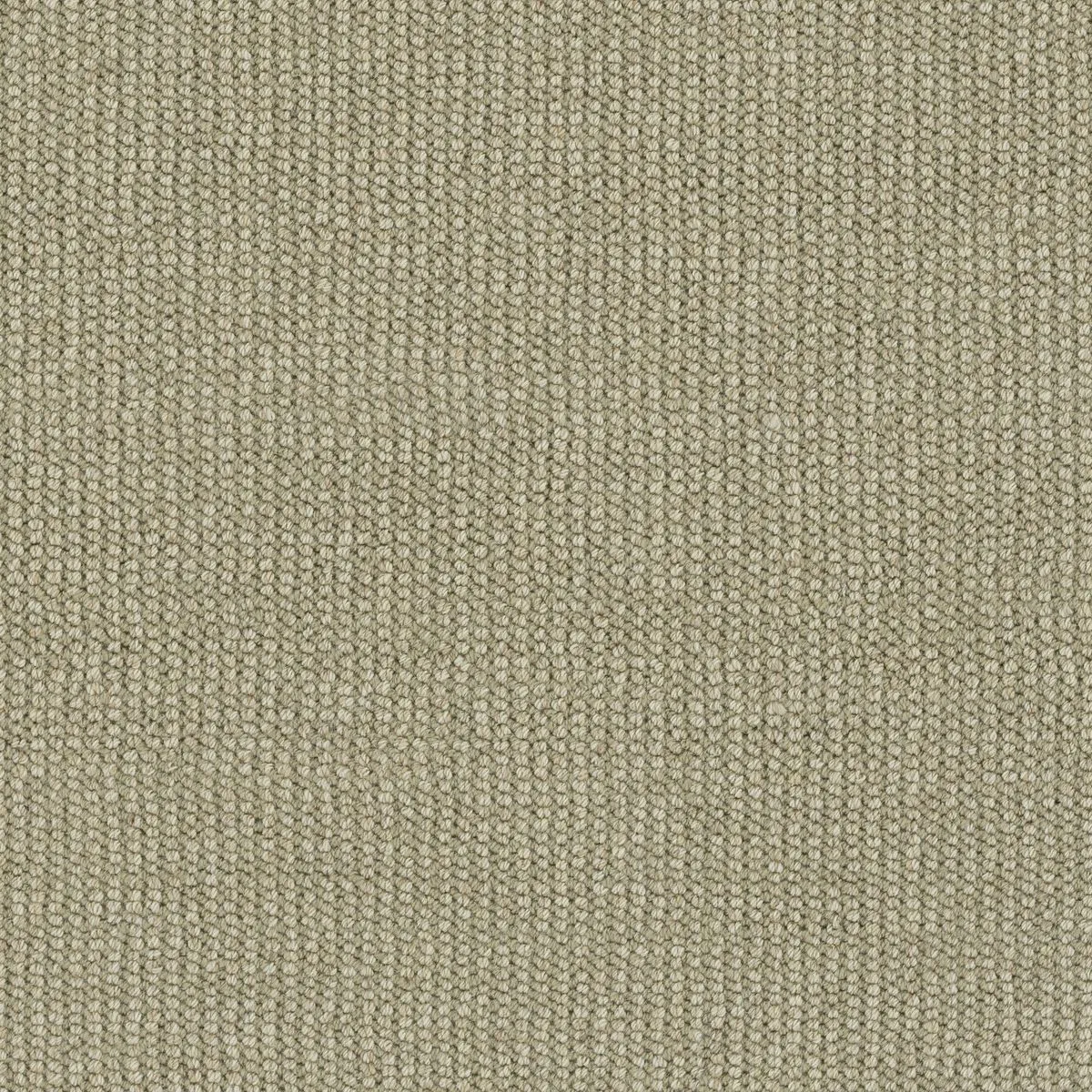 Marshfield Olive