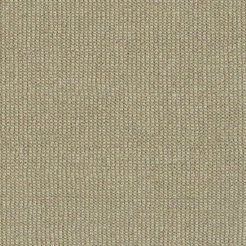 Marshfield Olive