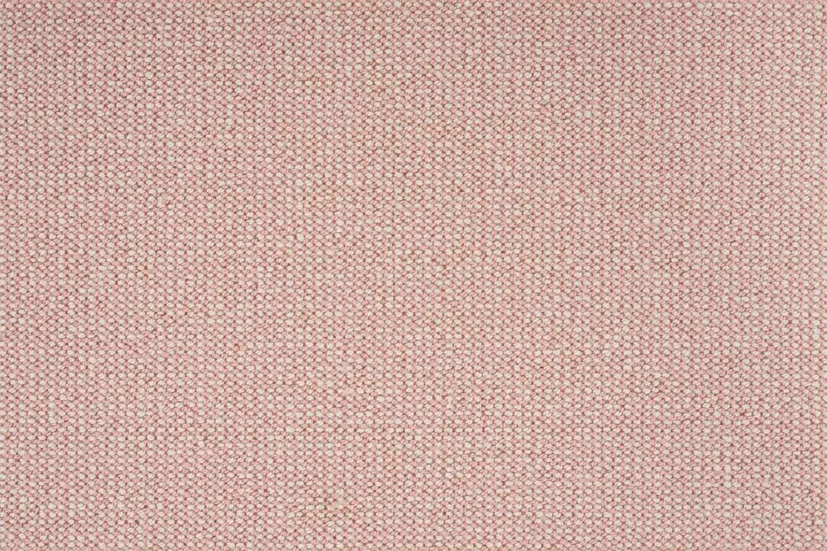 Lagoon Beach Petal