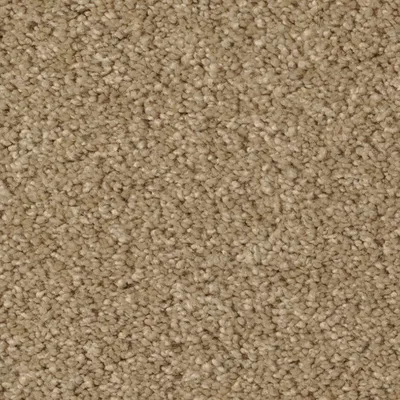 Classic Taupe