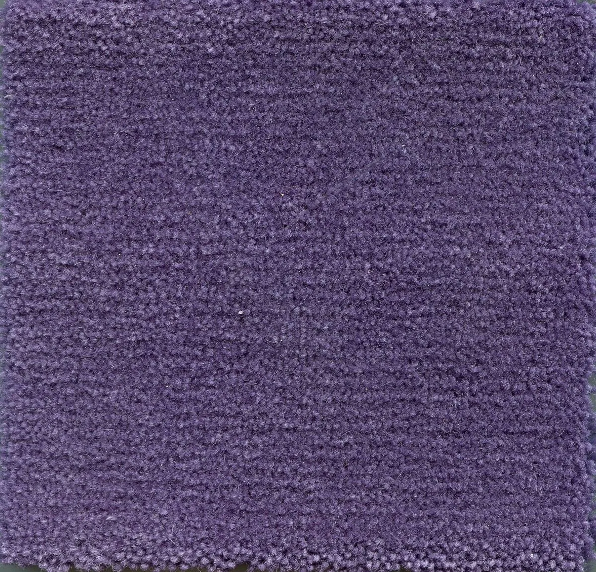 Alsace Lilac