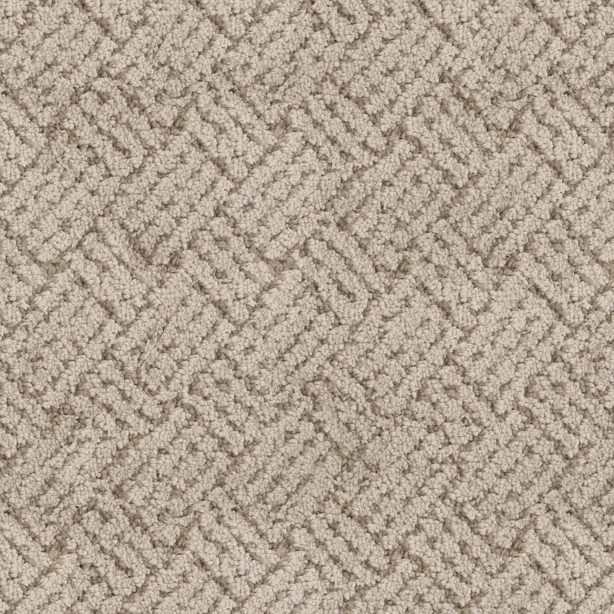 Kumeyaay Shell Beige