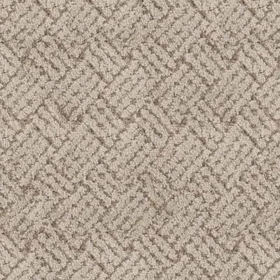 Shell Beige