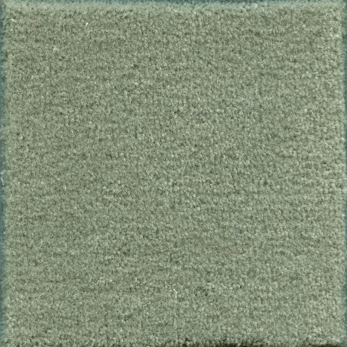 Alsace Softpine