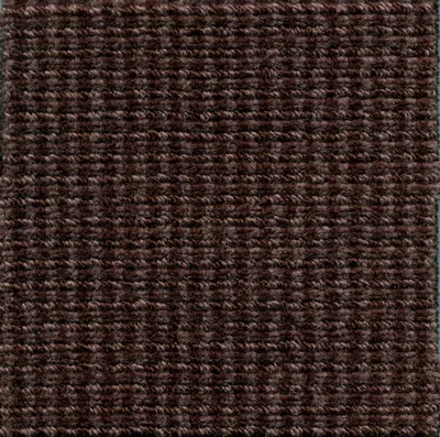 Lontra