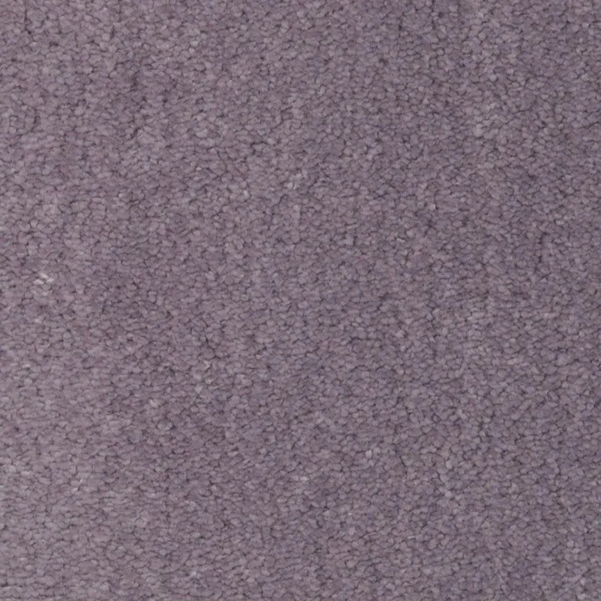 Temptation Veiled Plum