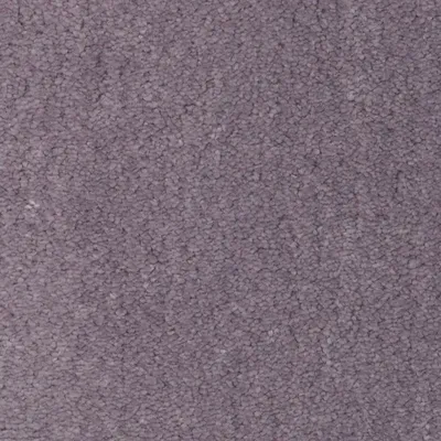 Veiled Plum